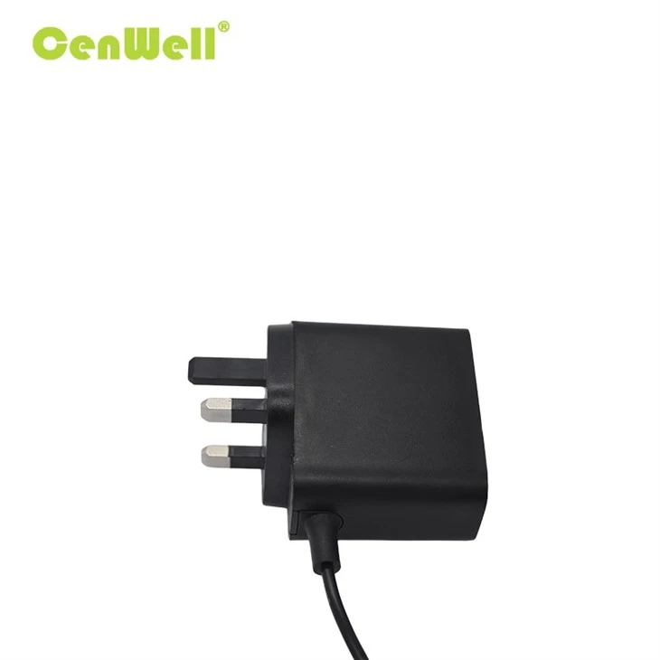EU Plug CE RoHS Compliant Wall Charger Adapter price