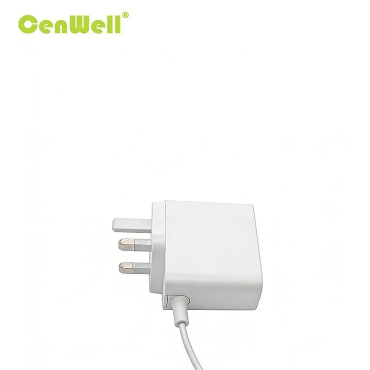 EU Plug CE RoHS Compliant Wall Charger Adapter suppliers